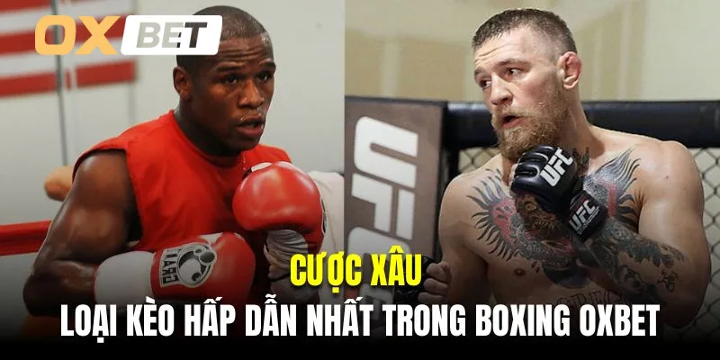 Cược xâu là loại kèo hấp dẫn nhất trong Boxing Oxbet