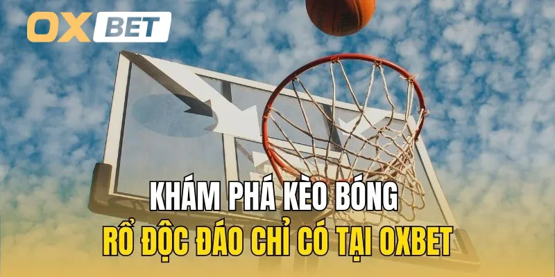 Khám phá kèo bóng rổ độc đáo chỉ có tại Oxbet