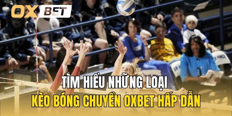 Tìm hiểu những loại kèo bóng chuyền Oxbet hấp dẫn