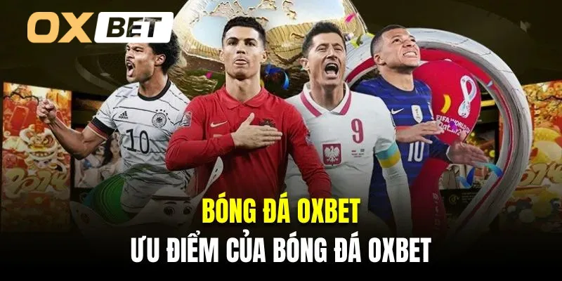 Tỷ lệ trả thưởng hậu hĩnh là ưu điểm của bóng đá Oxbet